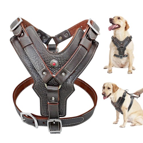Genuine leather dog harness - genuine,