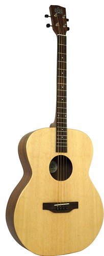 Ashbury rathlin model - rathlin, tenor