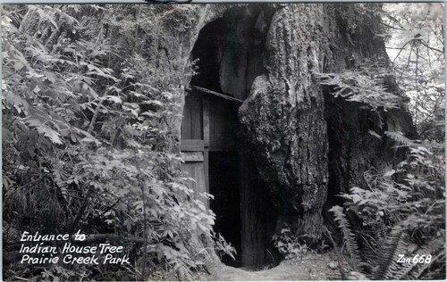Photo indian house tree - of,