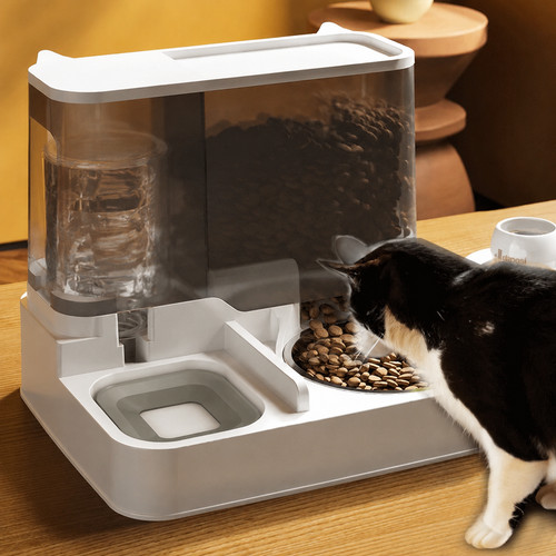 Automatic cat feeder - cat,