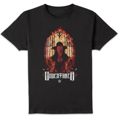 Wwe undertaker flames - wwe,