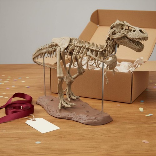 Dinosaur skeleton model - 3d,