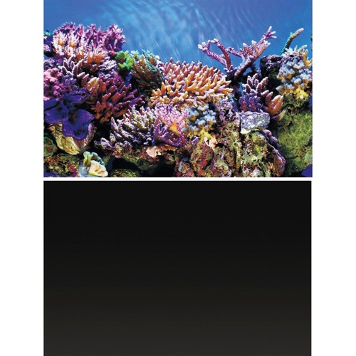Superfish deco poster aquarium - deco,
