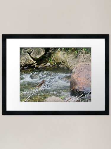 Forest stream framed art - forest,
