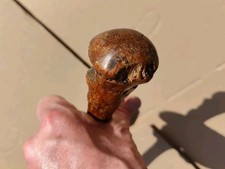Antique Hedgerow Walking Stick