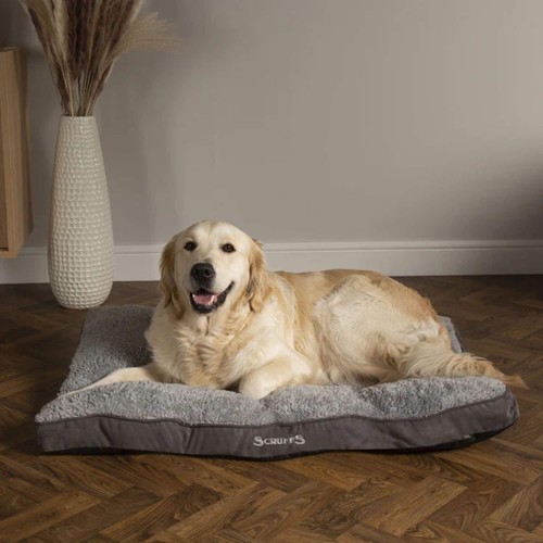 Scruffs cosy mattress - mattress, dogs