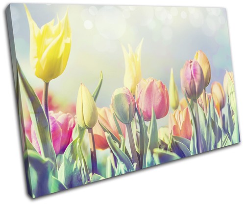 Botanical flowers tulips - botanical,
