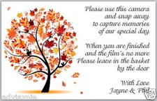 10 Wedding Disposable Camera