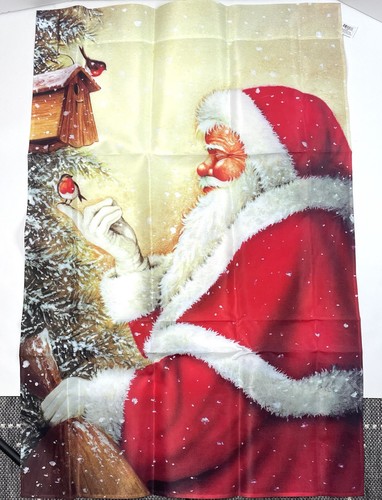 Evergreen santa claus bird - evergreen,