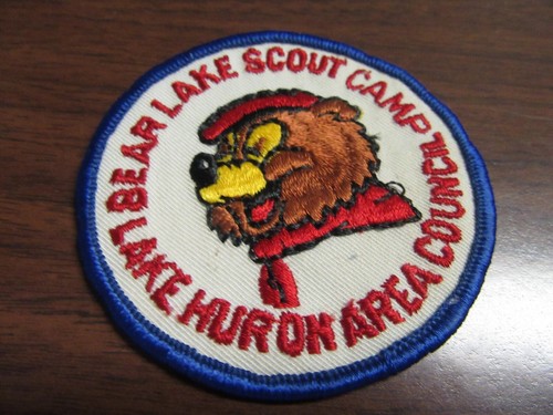 Bear lake scout - bear, camp