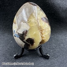Septarian Egg Madagascar