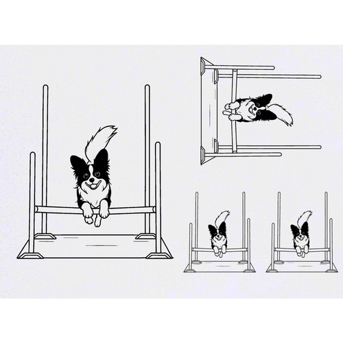 Papillon dog show - 4, show'