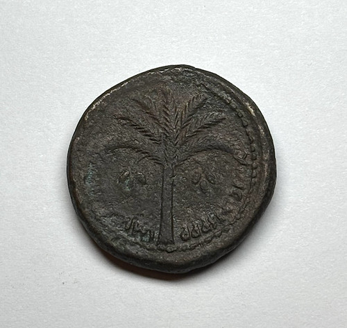 Roman judaea ae28 - ad),