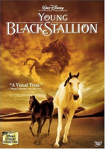 The young black stallion dvd - the,