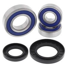 Kawasaki KDX250 83-84 Rear Wheel Bearing Kit