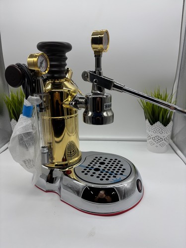 Pavoni esperto competente - -,