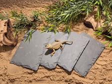 4 x Natural Slate Basking Tile Vivarium Reptile Lizard Gecko Claws Beaks Trimmed