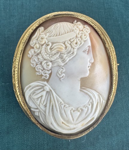 Antique shell cameo - brooch, in