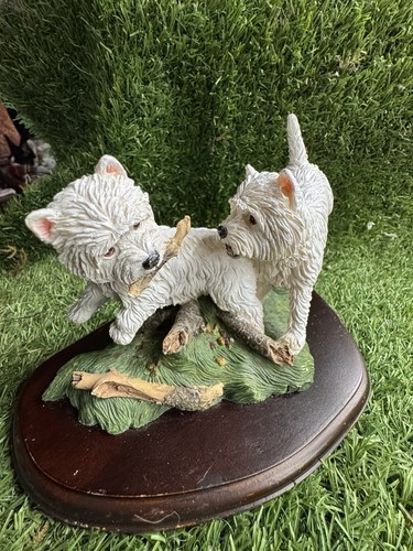 Teviotdale westie pair playing - pair,