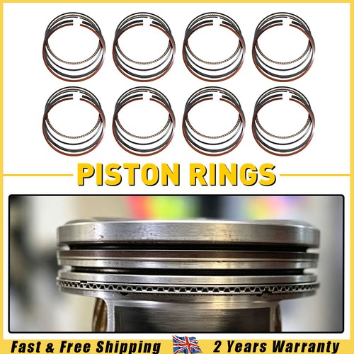 8pcs piston rings std - 8pcs,