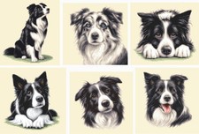 BORDER COLLIE DOG, PUP - Original Full counted cross stitch kit by Jann Designs