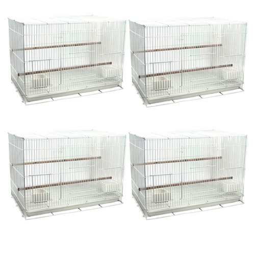 Little friends sealey - sealey, budgie
