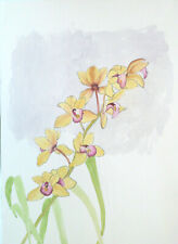 A SPRAY OF CYMBIDIUM ORCHIDS GWYNETH WILLITT (1931-2018) ORIGINAL VINTAGE W C