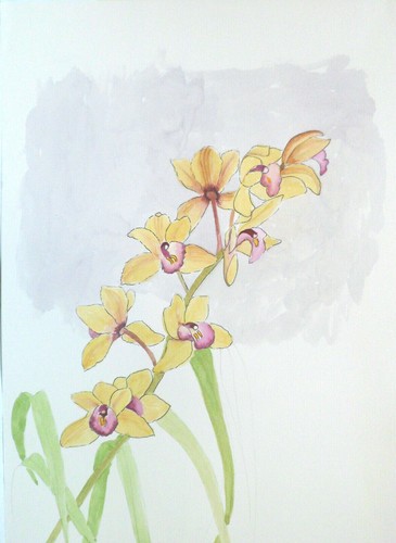 Spray cymbidium orchids - of,