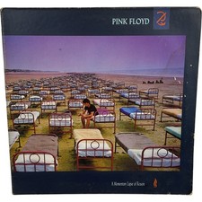Pink Floyd A Momentary Lapse