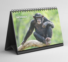 Monkey Desk Calendar 2026-2027: Standing Flip Desktop Calendar
