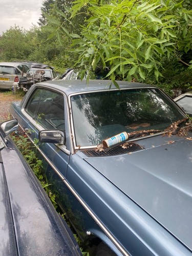 Mercedes w123 and t - e,