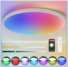 CANMEIJIA LED Ceiling Light 12” 24W Smart Ceiling Lights RGB Dimmable WiFi App