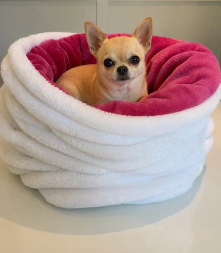 Snuggle sack small pet - snuggle,