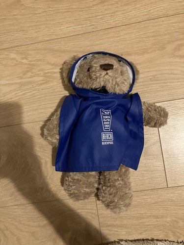 Teddy bear with blue - bear,