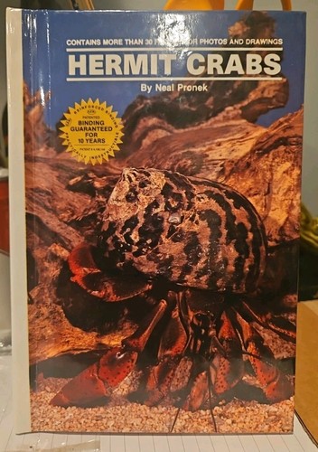 Land hermit crabs - hermit,
