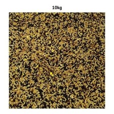 Canary Mix Loose Bulk - Bird