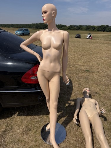Female mannequins set two - set,