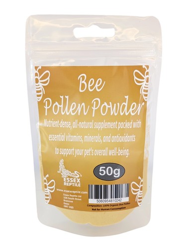 Essex reptile bee pollen - reptile,