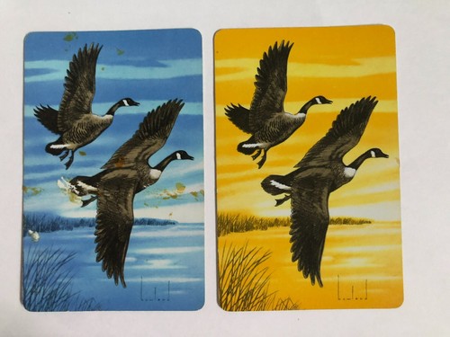 Flying ducks birds artist - flying,