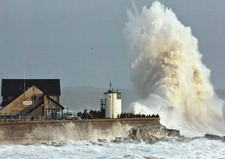 RNLB UNUSED POSTCARD -