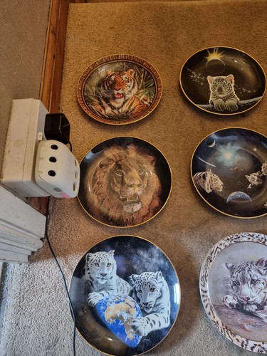 Collection tiger plates by - of,