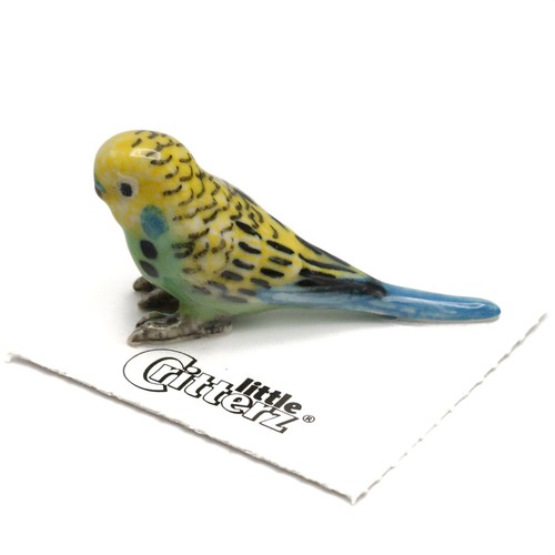 Little critterz parrot green - critterz,