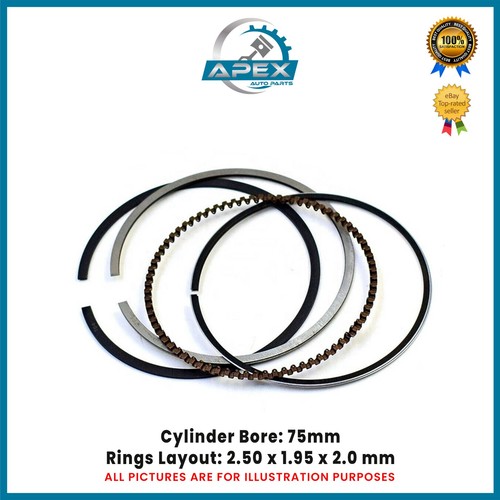 Piston rings set for 6 - piston,