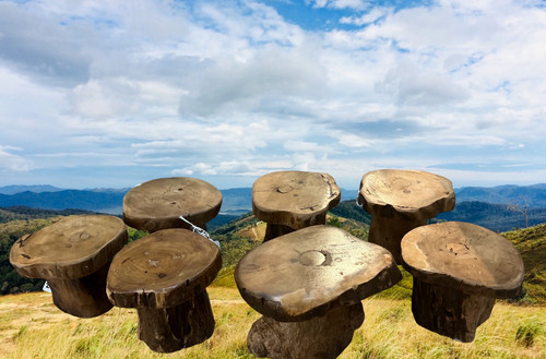 Teak root small table - root, &