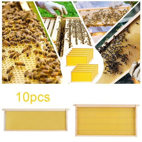 10x assembled national brood - 10x,