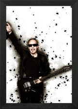 Joe Satriani Framed Wall Art