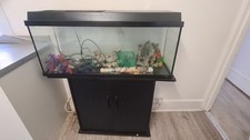 Fish Tank