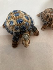2x Wade Tortoise Porcelain One
