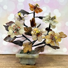 Chinese Jade Flower Bonsai