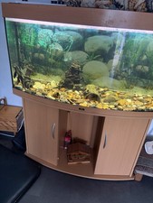 Juwel 125 Rio Aquarium and